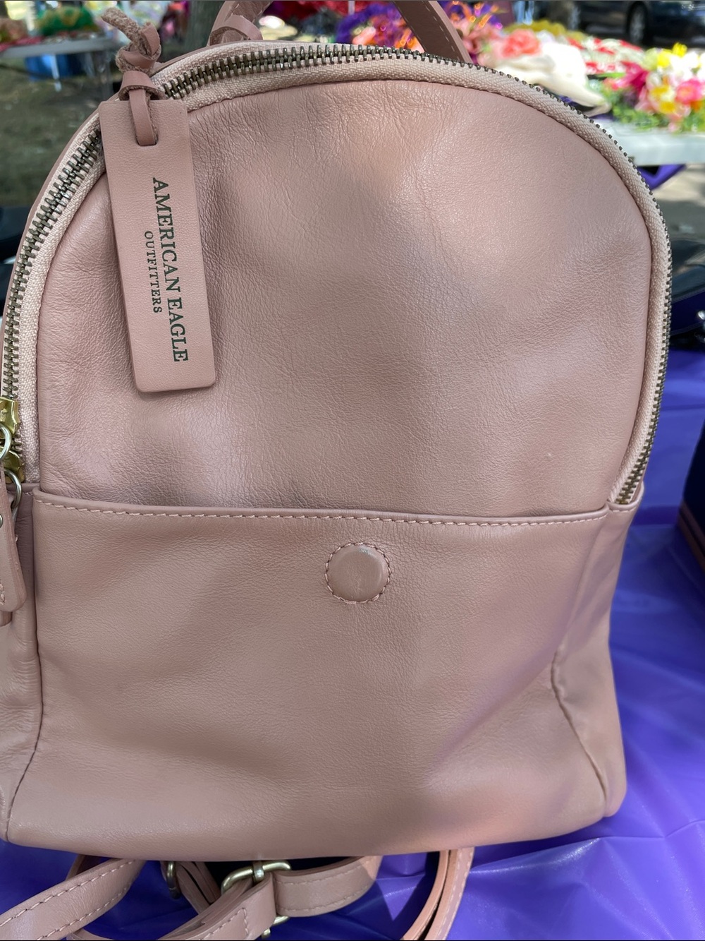 American Eagle Outfitters Blush Pink Mini Backpack